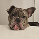 Entry image for Spud