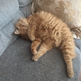 Entry image for Graihagh