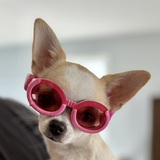 Entry image for Nova