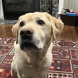 Entry image for Mr. Anderson