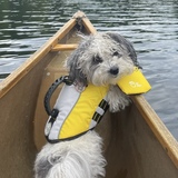 Entry image for Birdie