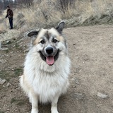 Entry image for Micco