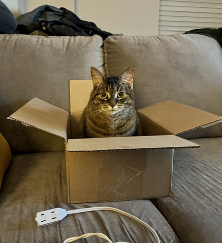 Entry image for Ally. Clicking this image will show a larger photo