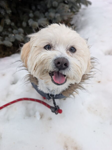 Entry image for Jackie. Clicking this image will show a larger photo