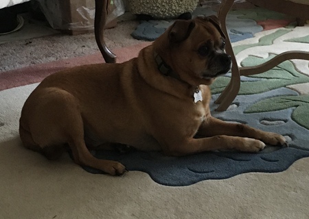 Entry image for Todd. Clicking this image will show a larger photo