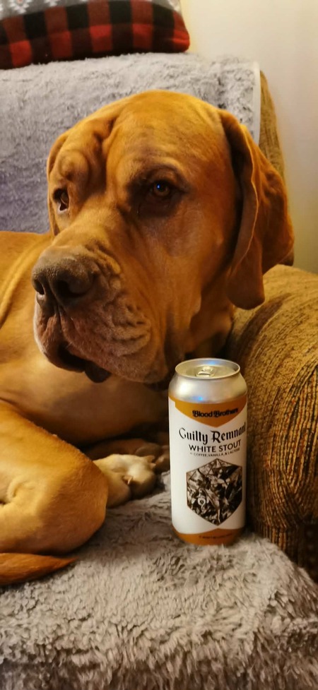 Entry image for Hank . Clicking this image will show a larger photo