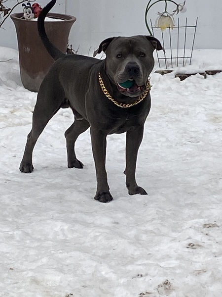 Entry image for Rague. Clicking this image will show a larger photo