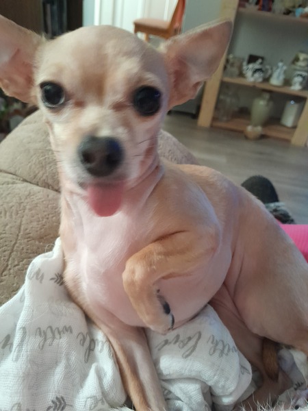 Entry image for Jazzy . Clicking this image will show a larger photo