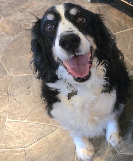 Entry image for Gibson. Clicking this image will show a larger photo