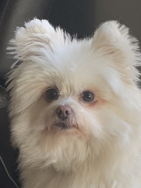 Entry image for Bob Forster. Clicking this image will show a larger photo