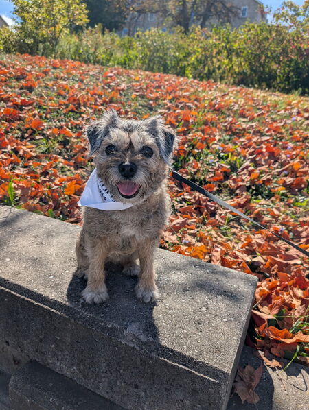 Entry image for Claire. Clicking this image will show a larger photo