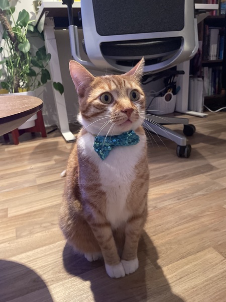 Entry image for Louis. Clicking this image will show a larger photo