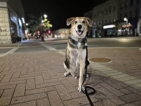 Entry image for Xander Cage. Clicking this image will show a larger photo