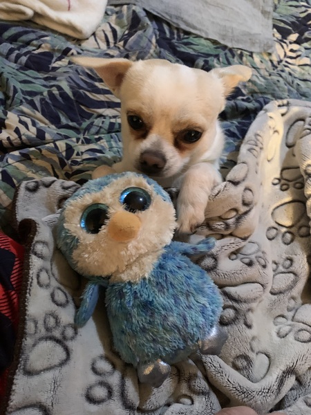 Entry image for Jimmy. Clicking this image will show a larger photo