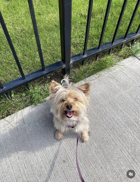 Entry image for Betty. Clicking this image will show a larger photo