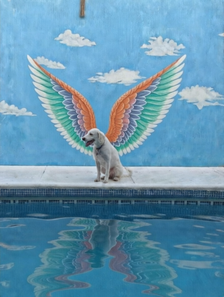 Entry image for Macarena. Clicking this image will show a larger photo