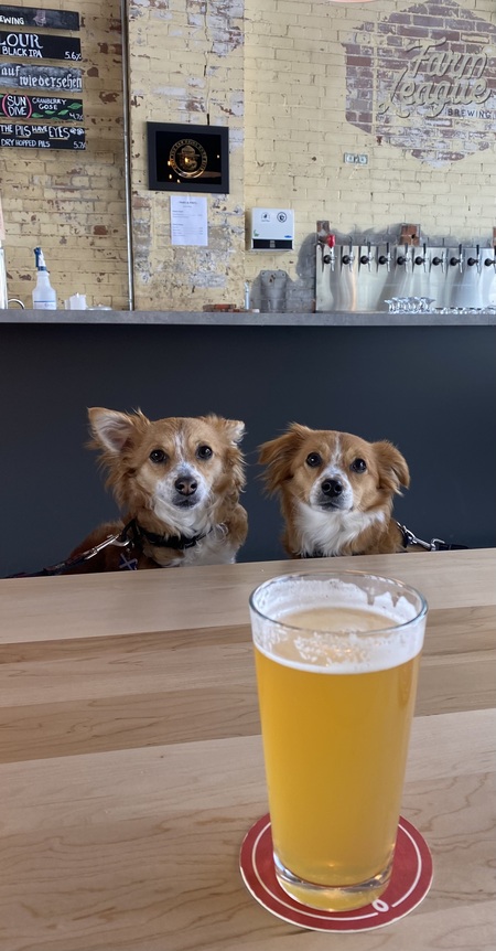 Entry image for Mr. Kel & Mr. Fred. Clicking this image will show a larger photo