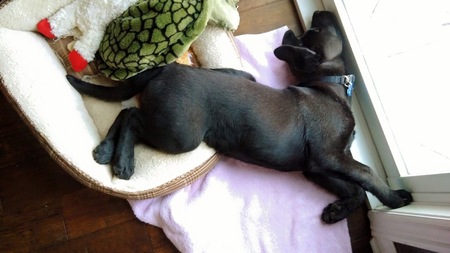 Entry image for Titus Nero. Clicking this image will show a larger photo