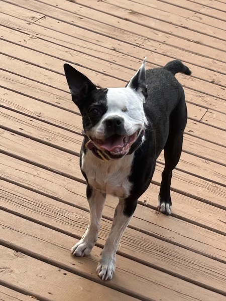 Entry image for Georgia . Clicking this image will show a larger photo