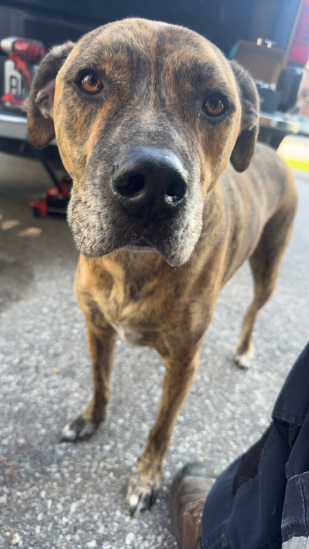 Entry image for Crocker . Clicking this image will show a larger photo