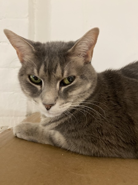 Entry image for Tula. Clicking this image will show a larger photo