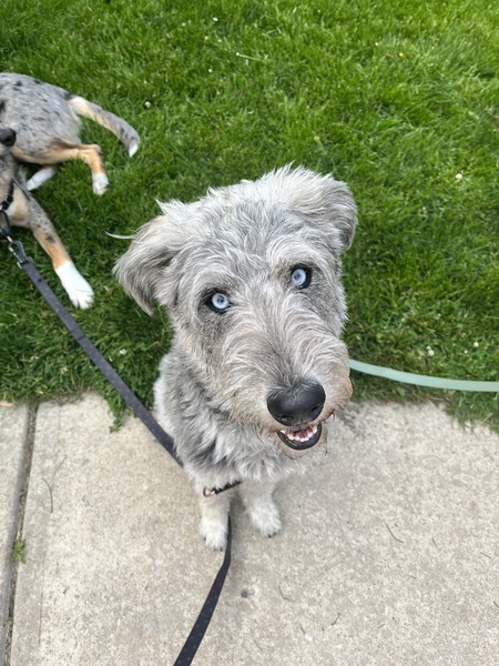 Entry image for Logan. Clicking this image will show a larger photo