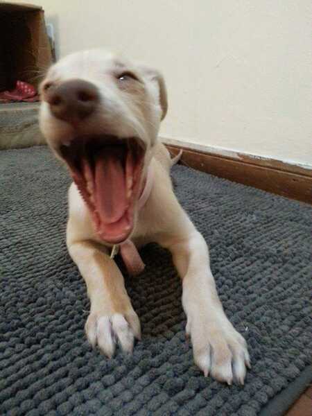 Entry image for Paris. Clicking this image will show a larger photo