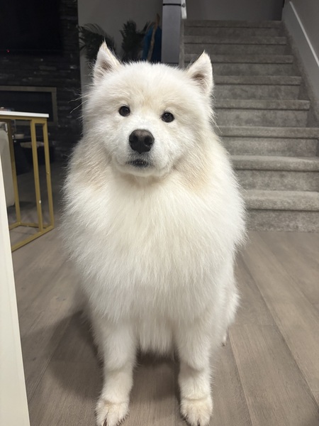 Entry image for Burt. Clicking this image will show a larger photo