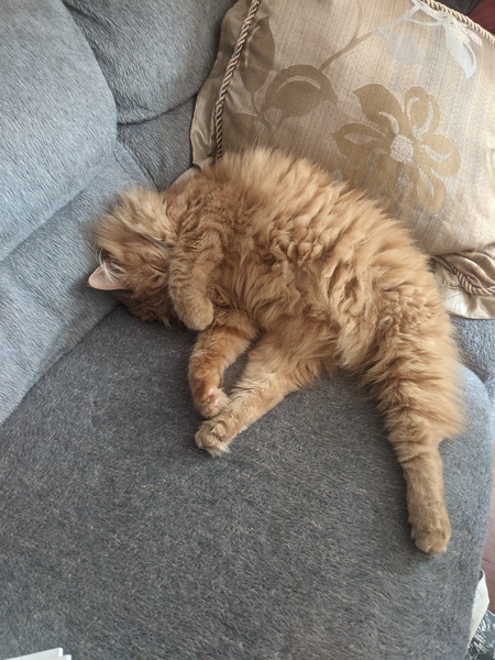 Entry image for Graihagh. Clicking this image will show a larger photo