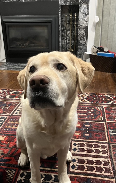 Entry image for Mr. Anderson. Clicking this image will show a larger photo