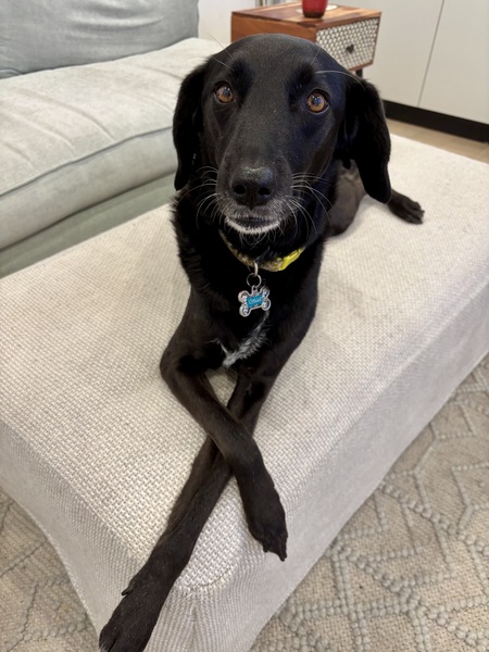 Entry image for Calle. Clicking this image will show a larger photo