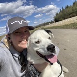 Entry image for Blue 