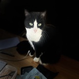 Entry image for Berry