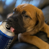 Entry image for Soleil