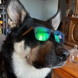 Entry image for Winston