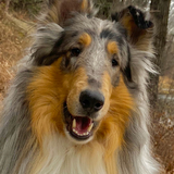 Entry image for Denim