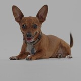 Entry image for Bella