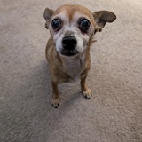 Entry image for Journey 