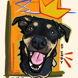 Entry image for Indy