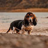 Entry image for Boozy