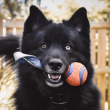 Entry image for Pvt Leslie Dancer