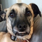 Entry image for Sunny