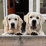 Entry image for Willy and Emmitt 