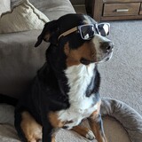 Entry image for Jersey