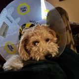 Entry image for Sunshine