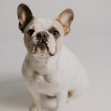 Entry image for Gwen 