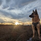 Entry image for Grace