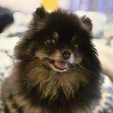 Entry image for Roger