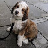 Entry image for Loki