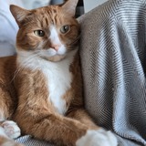 Entry image for Frasier